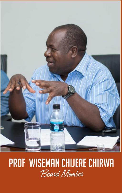 Prof Wiseman Chijere Chirwa